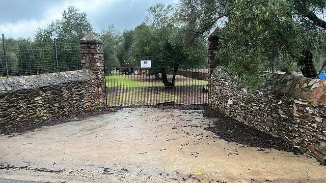 Desatascos &Aacute;lvarez 10