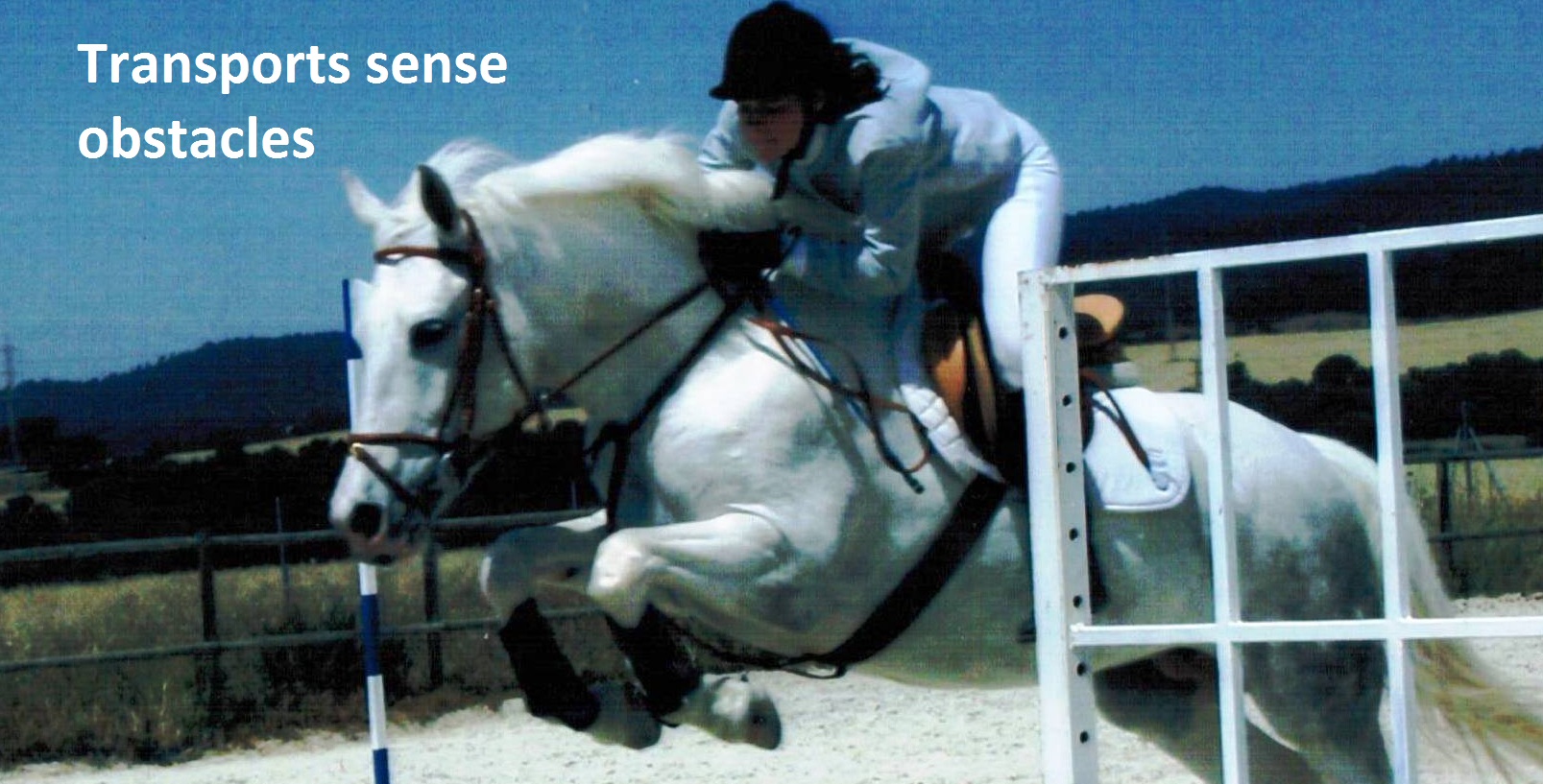 Martí Grayling S.L.