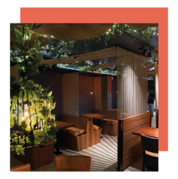 Galería de imágenes