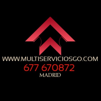 Multiservicios Go