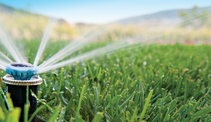 Jardineria La Calzada 7