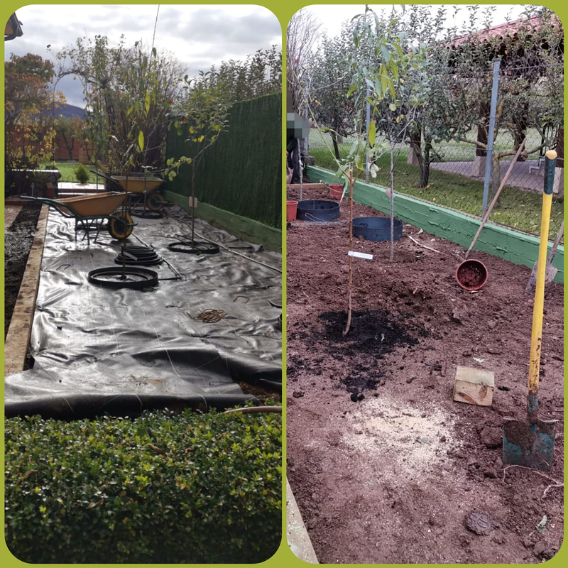 Jardineria La Calzada 8