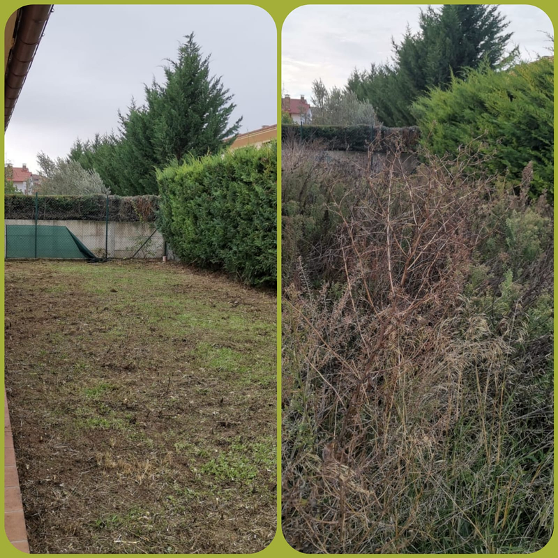 Jardineria La Calzada 9