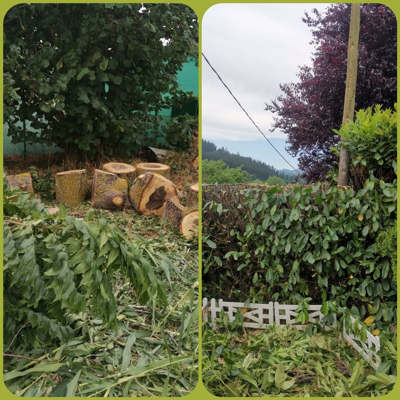 Jardineria La Calzada 6