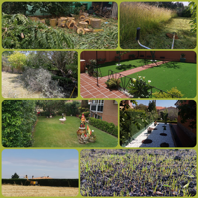 Jardineria La Calzada 4