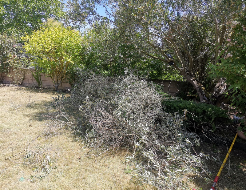 Jardineria La Calzada 17