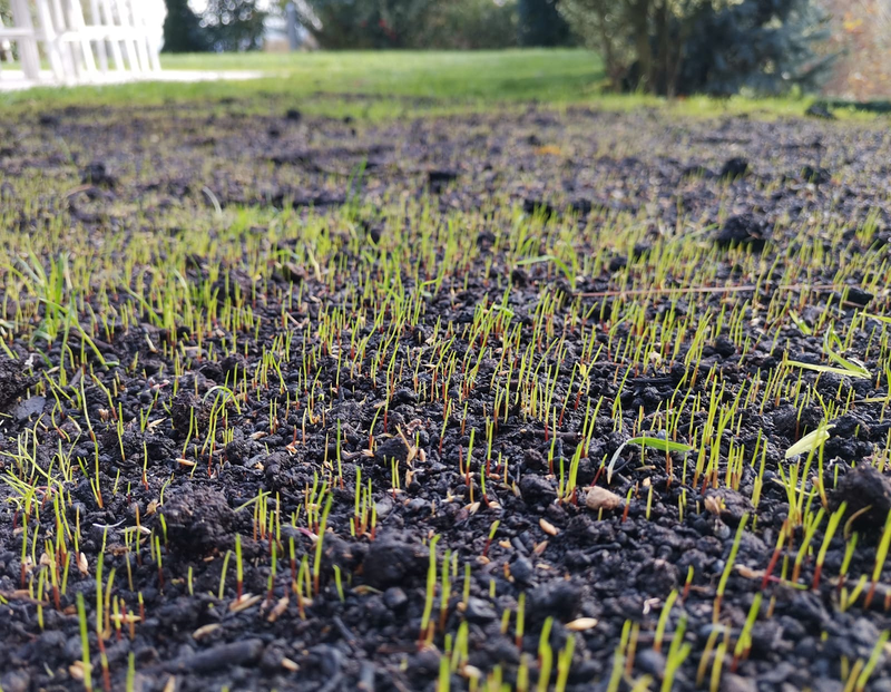 Jardineria La Calzada 15