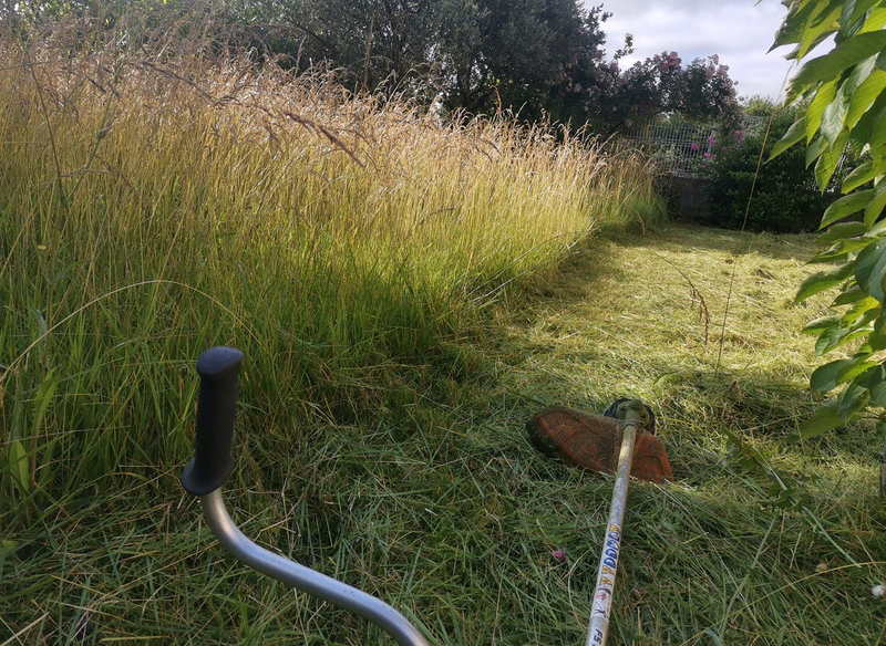 Jardineria La Calzada 13