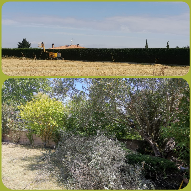 Jardineria La Calzada 5