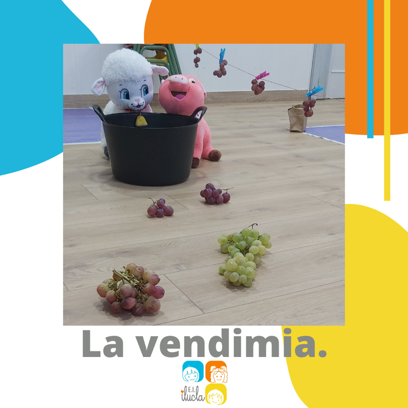 Escuela Infantil Ilucla 6