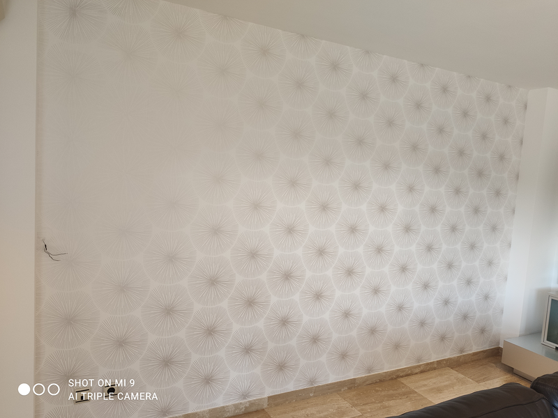 PINTOR TORTOSA-MADEC PINTURES I DECORACIO 148