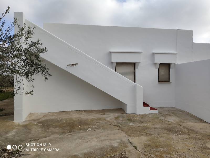 PINTOR TORTOSA-MADEC PINTURES I DECORACIO 120