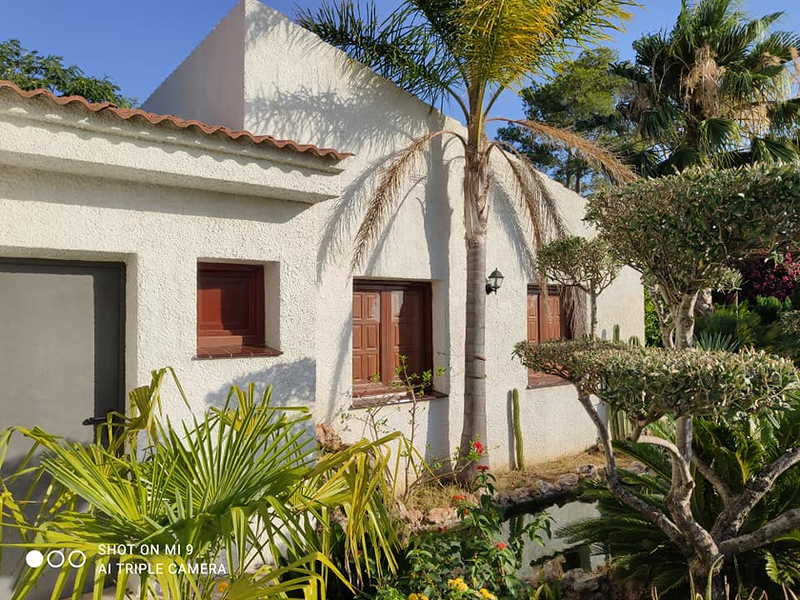 PINTOR TORTOSA-MADEC PINTURES I DECORACIO 9