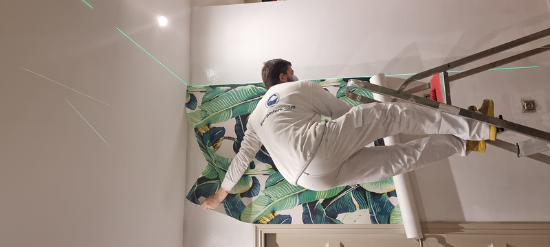 Castillo Pintors 224