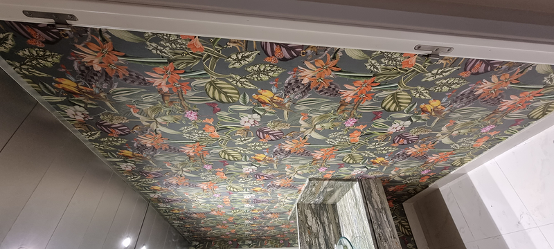 Castillo Pintors 241