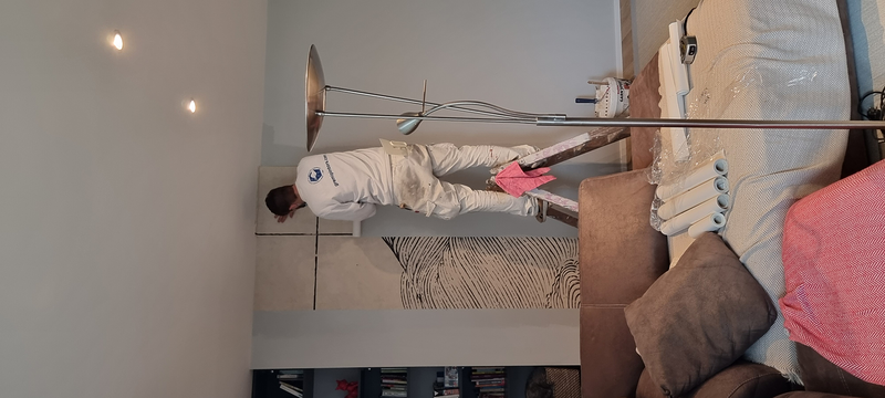 Castillo Pintors 233