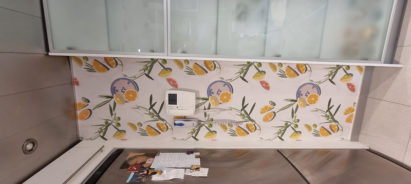 Castillo Pintors 249