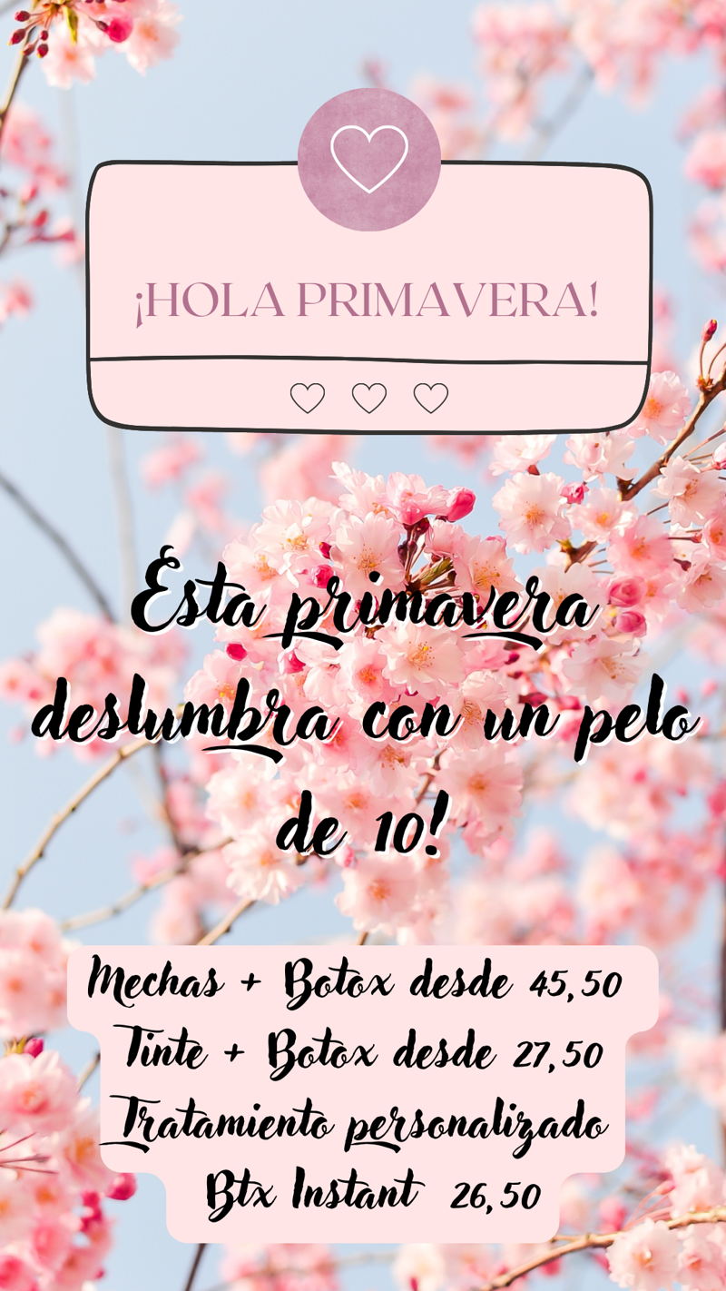 CD Color Y Dise&ntilde;os Peluqueros Sl 7