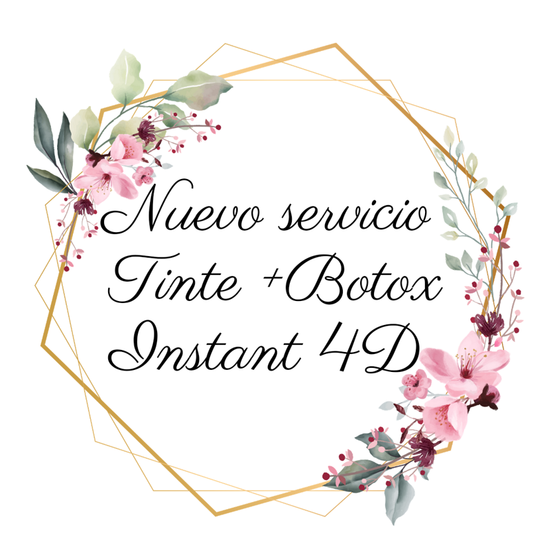 CD Color Y Dise&ntilde;os Peluqueros Sl 6