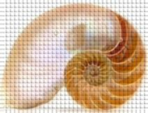 Obras Grupoingetura S.L.