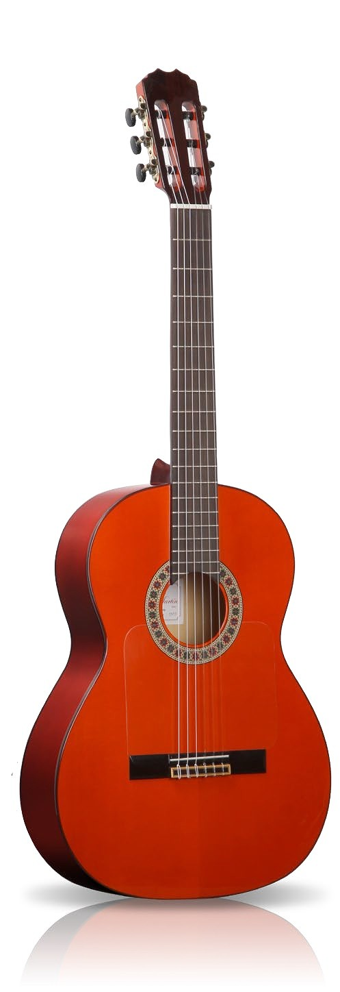 Yotoko: Guitarras,ajustes,previos,cuerdas y Accesorios 8