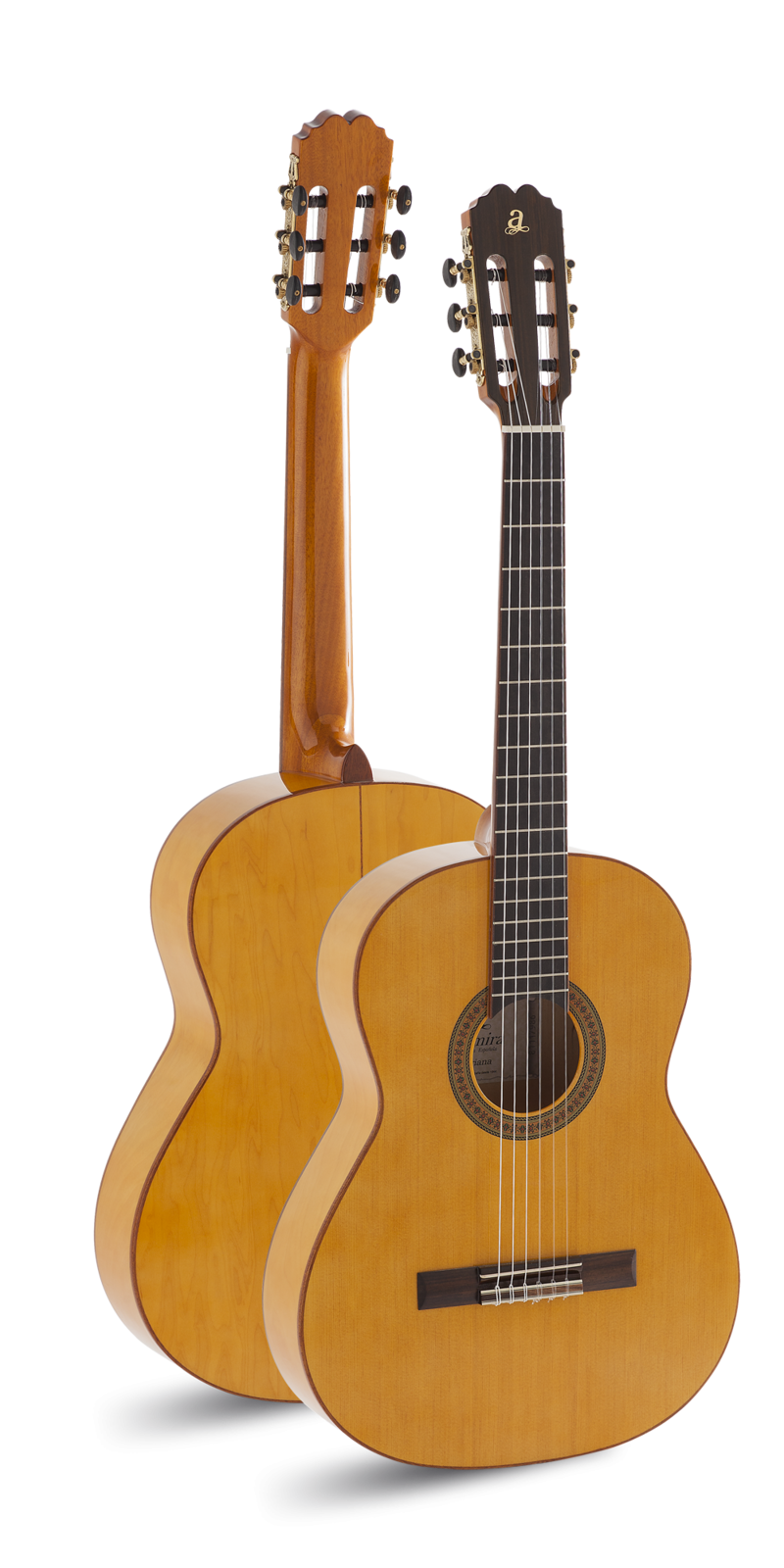 Yotoko: Guitarras,ajustes,previos,cuerdas y Accesorios 4