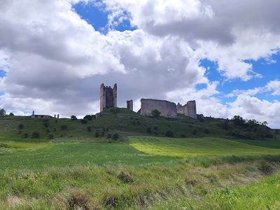 Estudio Nebreda Ingeniería y Arquitectura Burgos 8