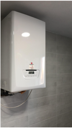 Galería de imágenes