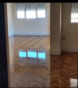 Galería de imágenes