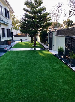 Galería de imágenes