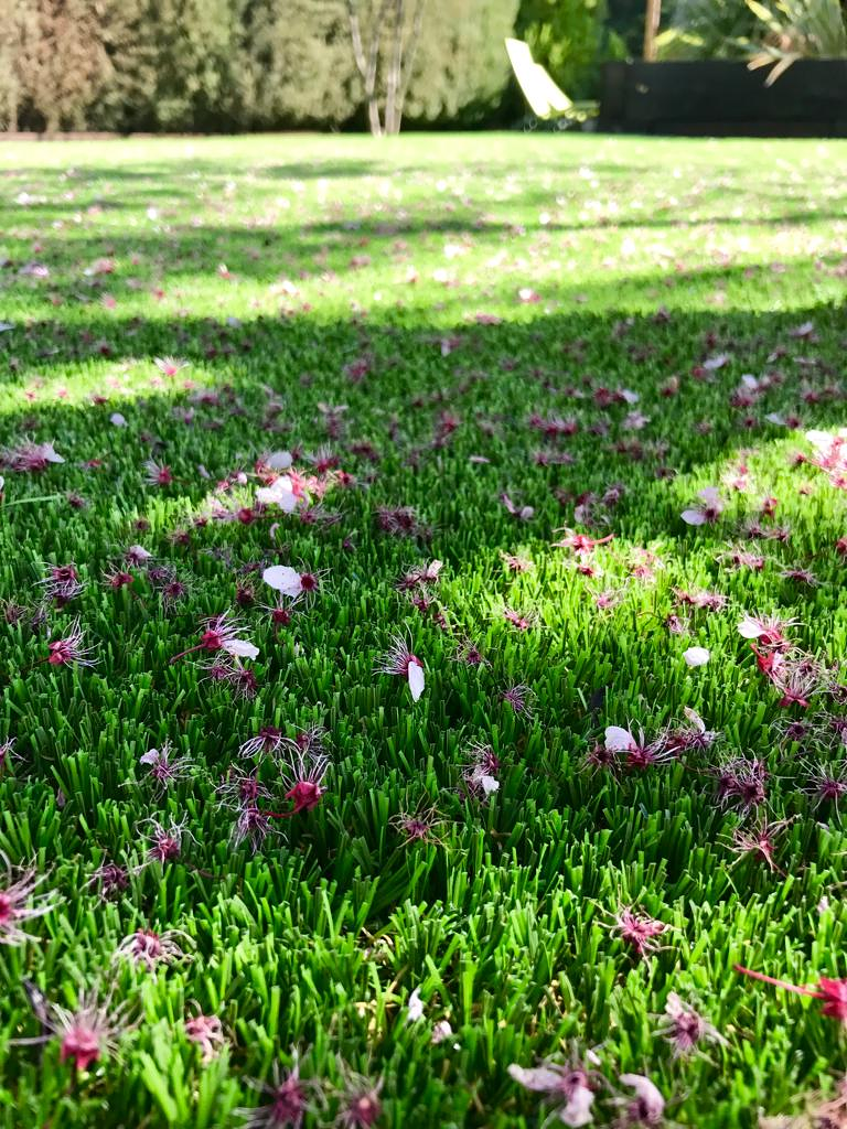 Natural Green - Césped Artificial en Barcelona 17