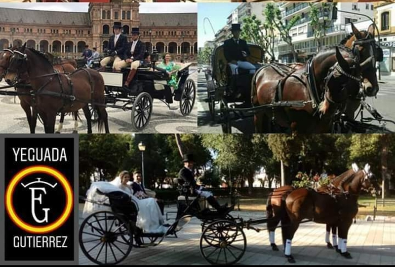 Reformas Francisco Guti&eacute;rrez La Algaba