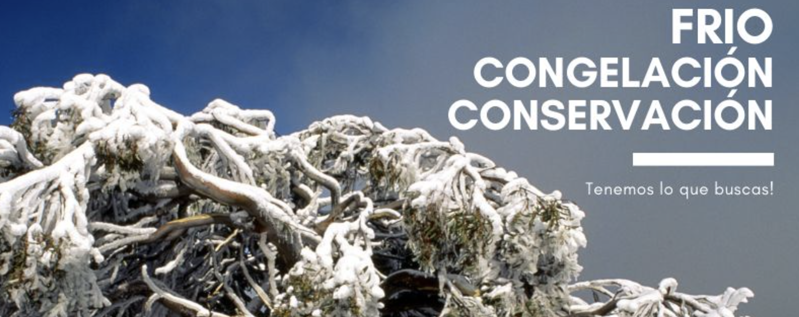 Soluciones Carmasa S.L.U. 7