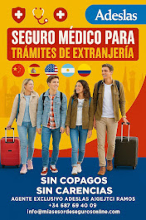 Mi Asesor de Seguros On line 11