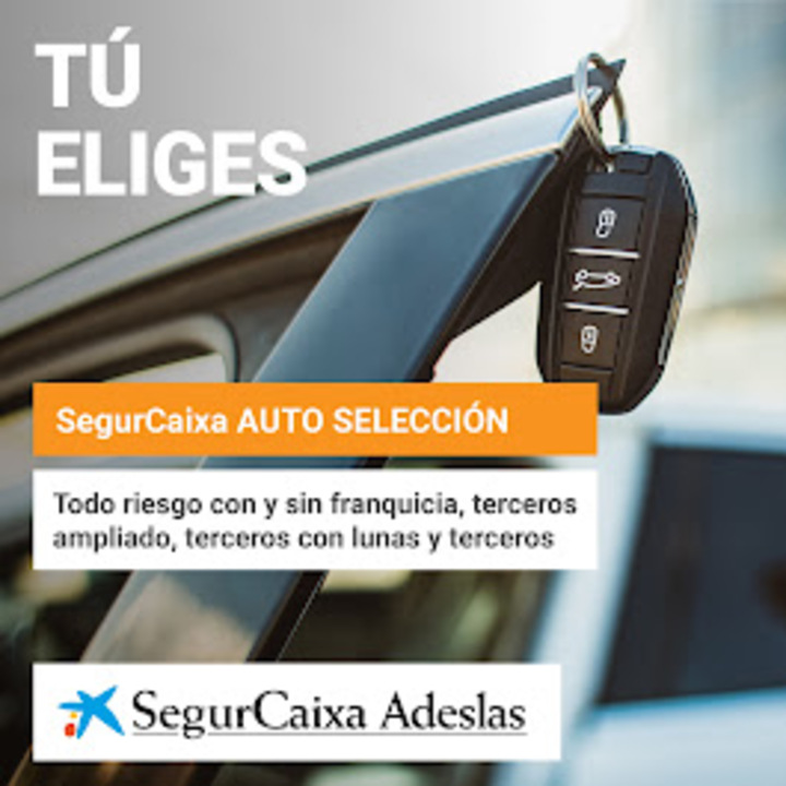 Mi Asesor de Seguros On line 8