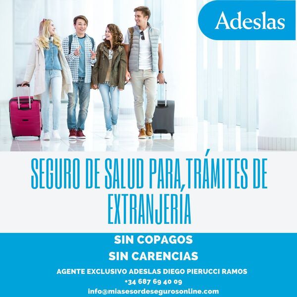 Mi Asesor de Seguros On line 13