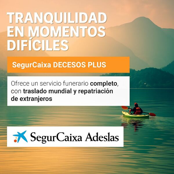 Mi Asesor de Seguros On line 12