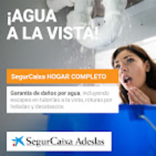 Mi Asesor de Seguros On line 4