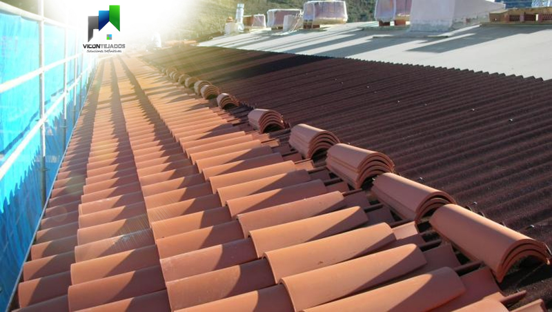 ViconTejados 2