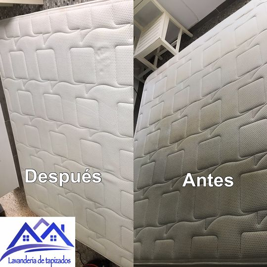 Lavander&iacute;a de Tapizados 2