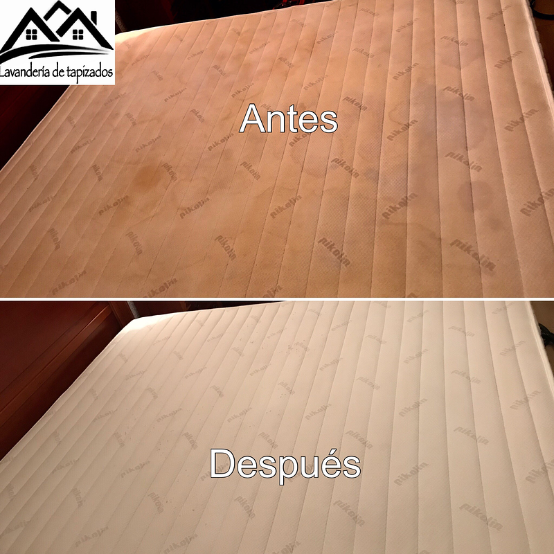 Lavander&iacute;a de Tapizados 4