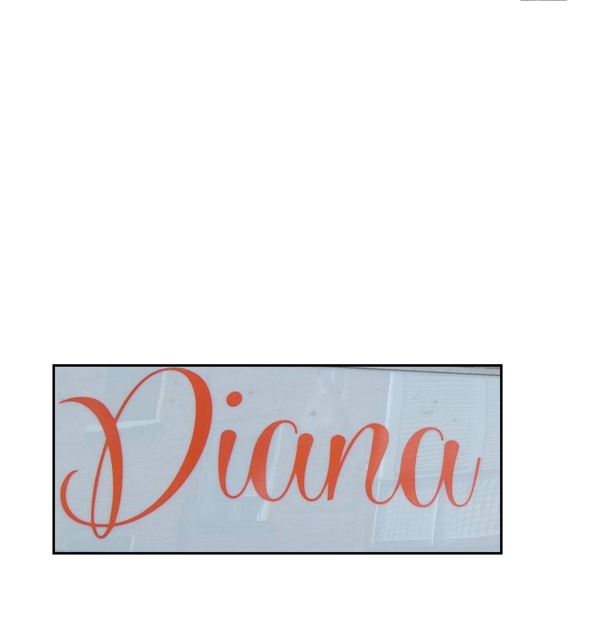 Estilista Diana