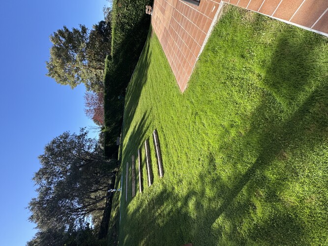 Labiojardiner&iacute;a 14