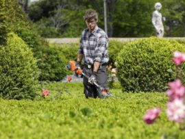 Imagen de Labiojardinería