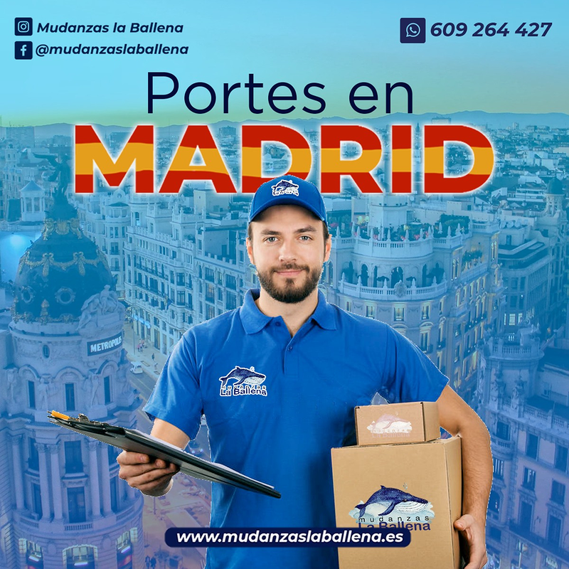 Mudanzas la Ballena Sl 4