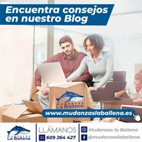 Mudanzas la Ballena Sl 6