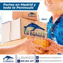 Mudanzas la Ballena Sl 5