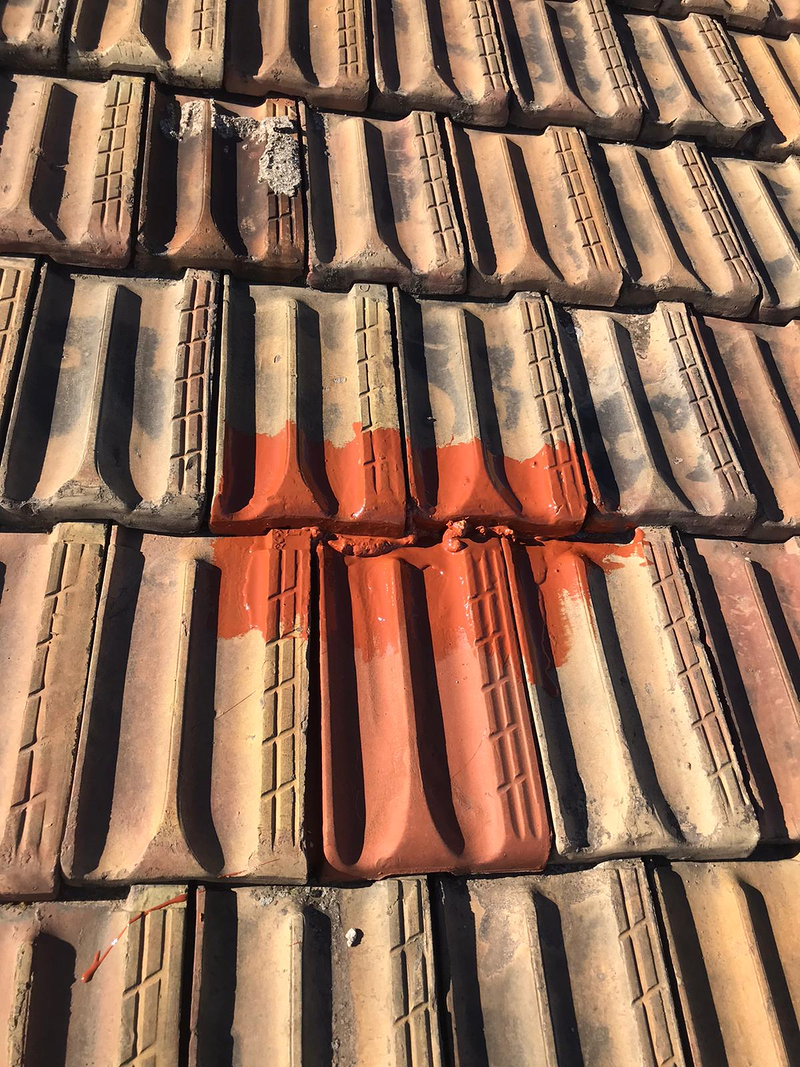 Multiservicios Lycri 40