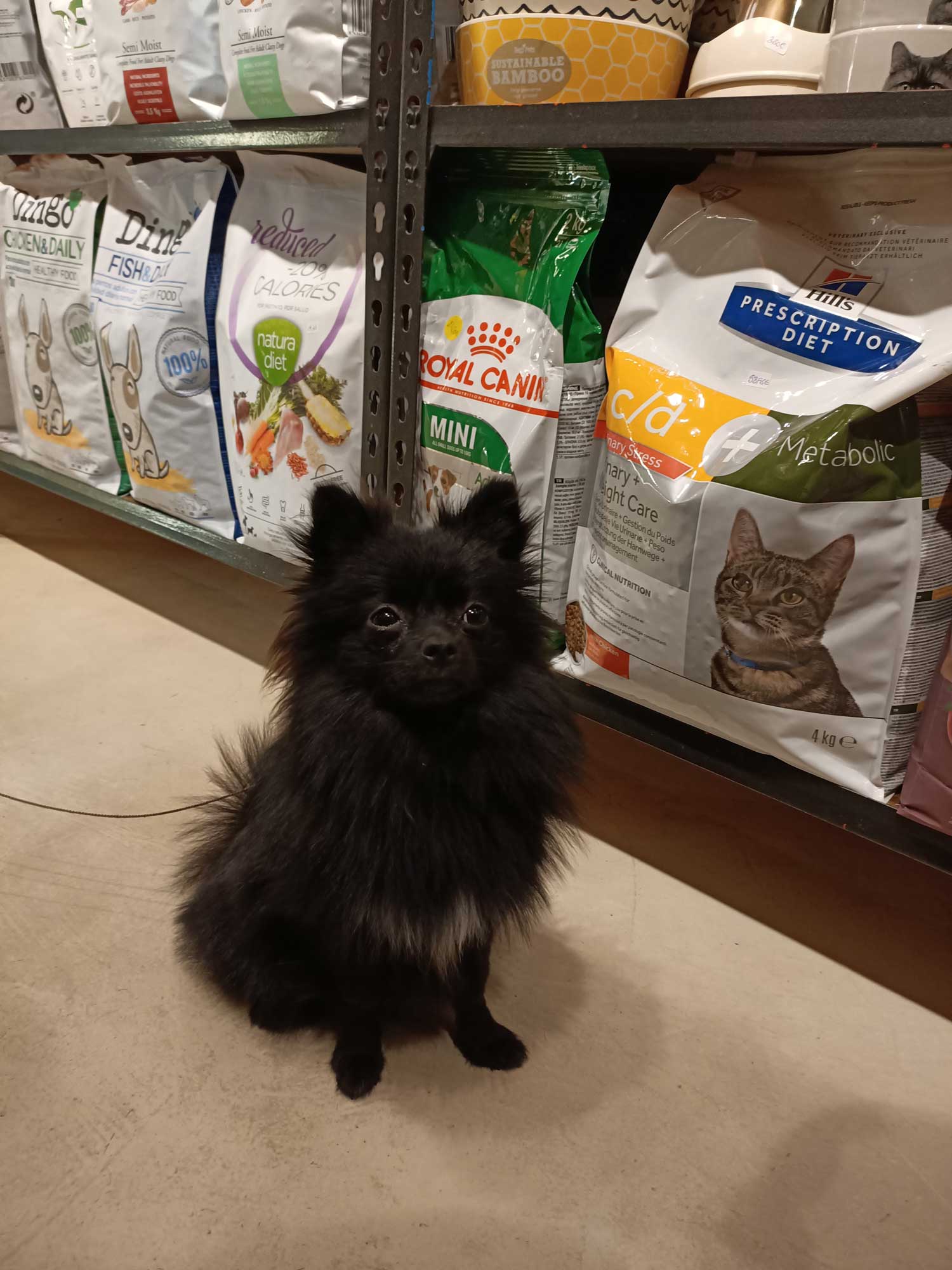 Oh My Gos! Barcelona