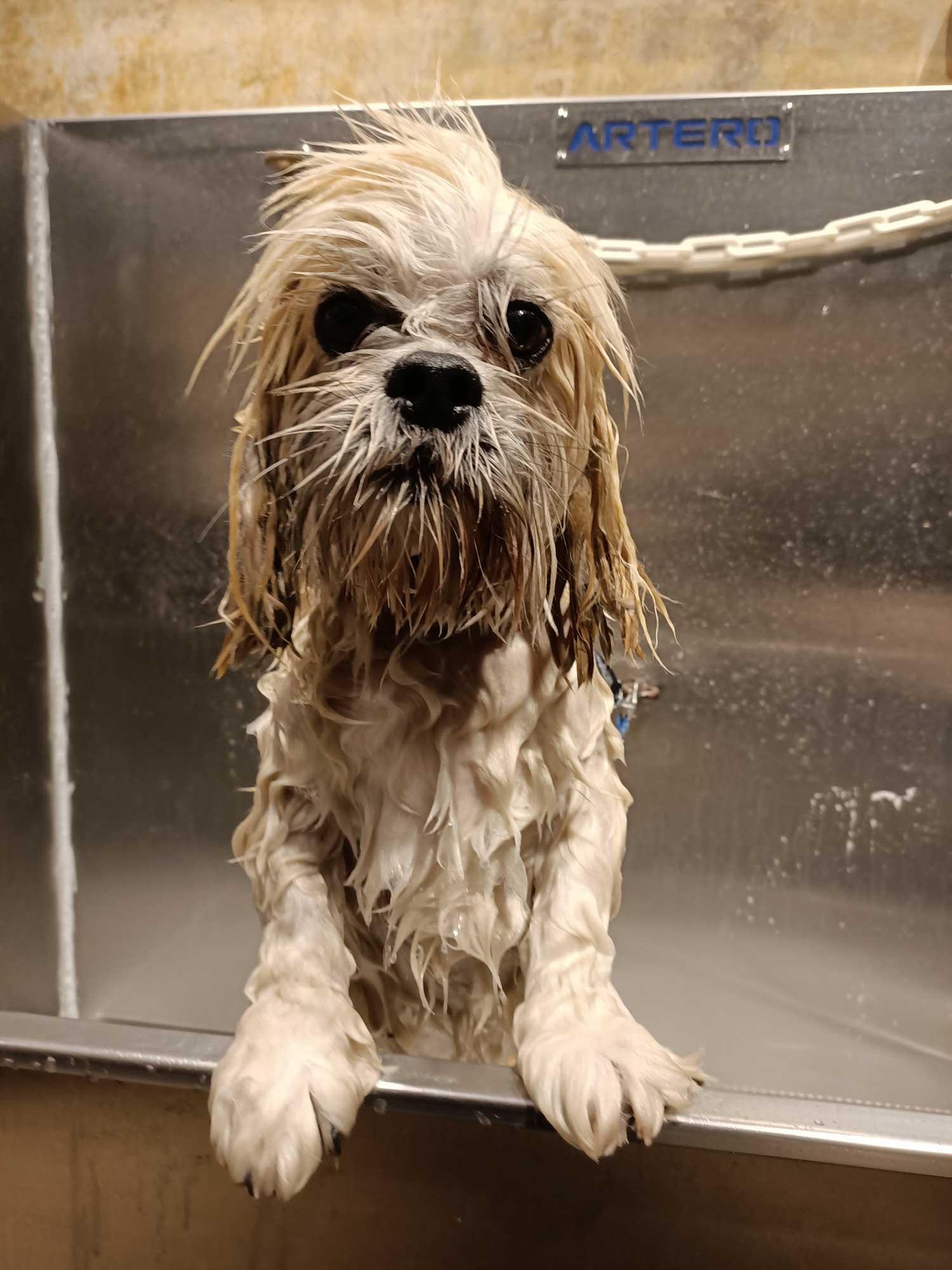 Galería de imágenes